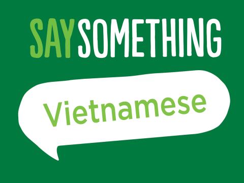 Say Something Presentation (Vietnamese)